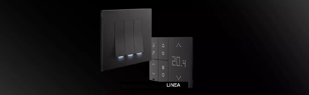 Linea